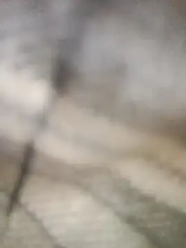 Snapshot of Pallu_Asha chatting on March 1, 2026, 4:25 am Pallu Asha online show from March 1, 2026, 4:25 am