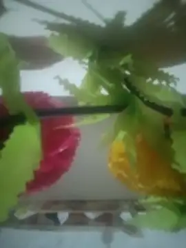 Pallu Asha online show from March 22, 2026, 2:31 pm