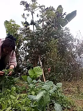 Alice-567 online show from January 11, 2026, 9:25 am