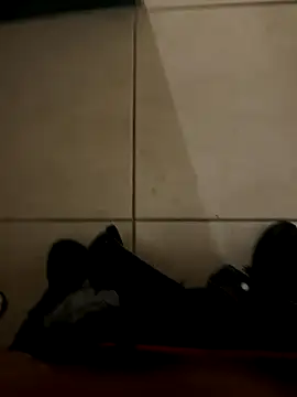 n0tf0und online show from November 5, 2025, 10:59 am