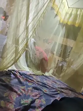 taylor1991V online show from November 24, 2025, 7:19 am