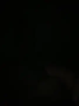 Snapshot of Manfredini607452 chatting on November 18, 2025, 12:49 am Manfredini607452 online show from November 18, 2025, 12:49 am