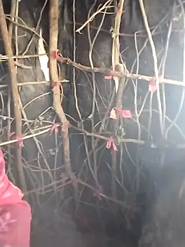 Snapshot of Jooli_cuty chatting on February 20, 2026, 11:11 am Jooli cuty online show from February 20, 2026, 11:11 am