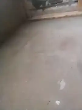 Snapshot of Lollittaxxxx2 chatting on November 11, 2025, 10:15 am Lollittaxxxx2 online show from November 11, 2025, 10:15 am