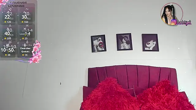 Snapshot of Scarlett_Jank chatting on February 26, 2026, 6:07 pm Scarlett Jank online show from February 26, 2026, 6:07 pm