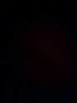 GrowlingGhost860 online show from November 18, 2025, 2:17 am