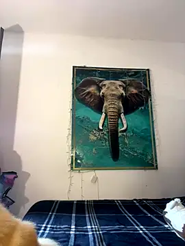 alisaa jhons1 online show from December 14, 2025, 4:56 pm