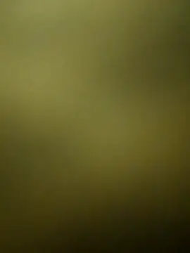 crazy boy55 online show from December 15, 2025, 5:28 pm