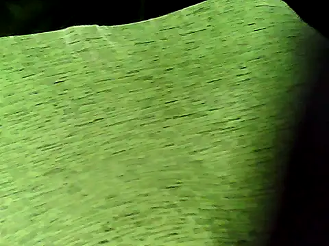 xanadu133 online show from March 9, 2026, 4:44 pm