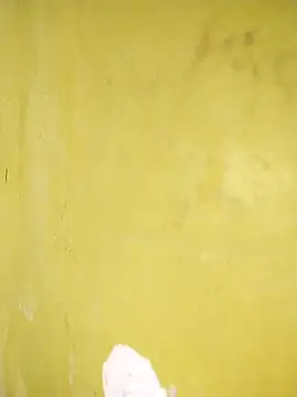 hootmom online show from November 10, 2025, 8:08 pm