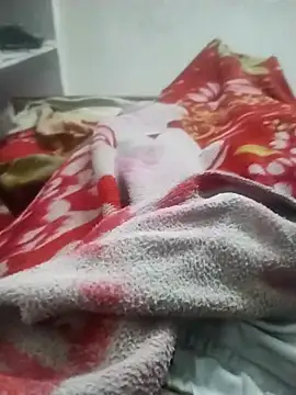 hyderabad single online show from November 23, 2025, 3:50 am