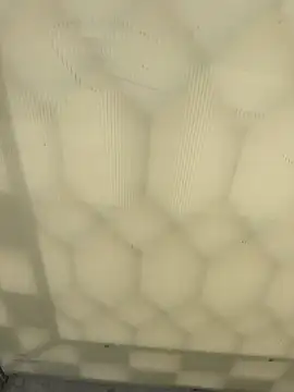 elqueteda lechita online show from April 20, 2026, 7:37 pm