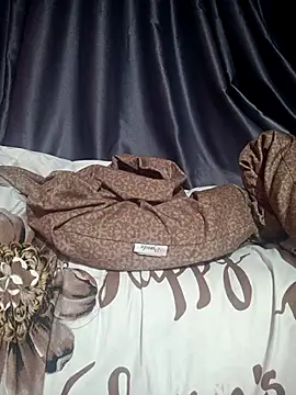 Snapshot of MiHeni chatting on March 31, 2026, 3:56 pm MiHeni online show from March 31, 2026, 3:56 pm