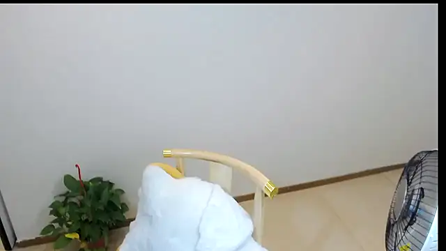 Shaurk online show from February 23, 2026, 2:53 am