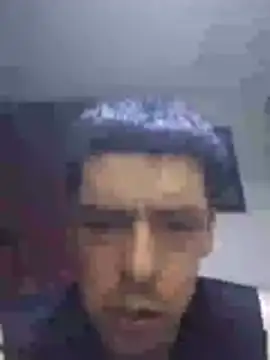 Junior 47 online show from November 15, 2025, 8:00 am