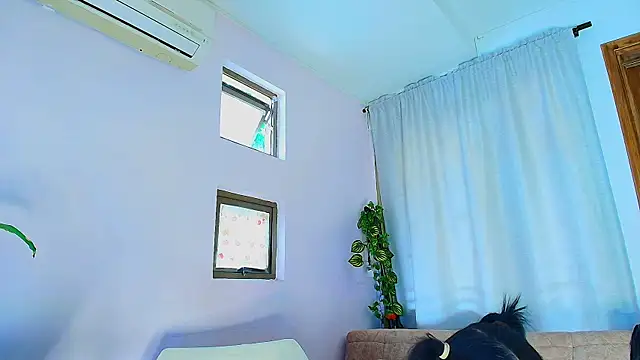 lizzy kane online show from February 7, 2026, 8:12 pm