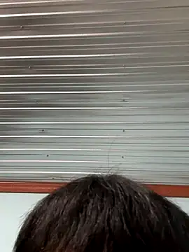 MEFUN- online show from December 16, 2025, 11:59 am