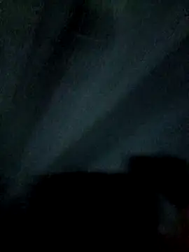 Snapshot of raju423204 chatting on February 11, 2026, 2:33 pm raju423204 online show from February 11, 2026, 2:33 pm