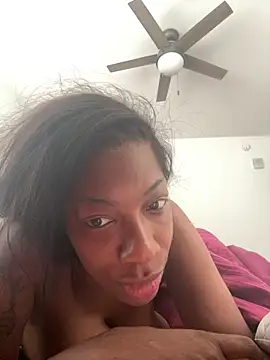 Snapshot of Drekacakez chatting on April 8, 2026, 1:44 pm Drekacakez online show from April 8, 2026, 1:44 pm