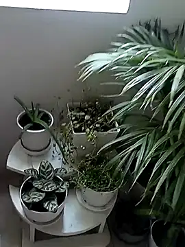 Rouse hot  online show from January 10, 2026, 6:09 pm