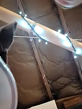 Snapshot of Redheadstud chatting on April 14, 2026, 4:51 am Redheadstud online show from April 14, 2026, 4:51 am