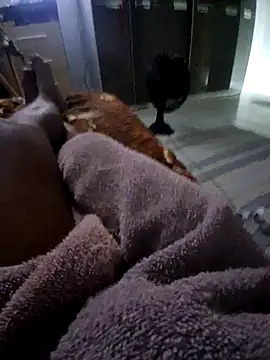 krett65 online show from December 5, 2025, 1:03 am