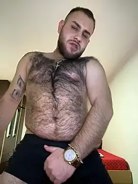 Snapshot of Andreiandu23 chatting on February 12, 2026, 6:25 pm Andreiandu23 online show from February 12, 2026, 6:25 pm