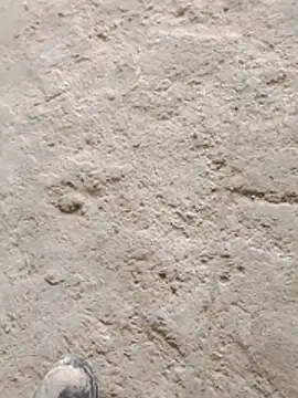 Paugostoso270515 online show from March 24, 2026, 4:12 pm