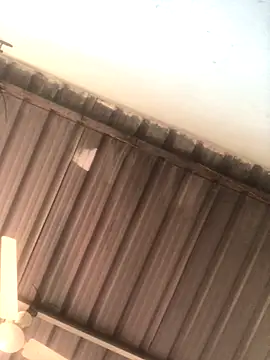 sexguruxxx online show from November 19, 2025, 6:13 am