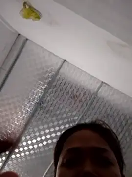 PamPii2x online show from February 28, 2026, 2:56 am