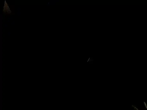 Savannah Cock online show from February 23, 2026, 1:03 am