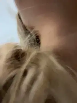 Snapshot of Chloe_GraceeX chatting on February 2, 2026, 8:40 pm Chloe GraceeX online show from February 2, 2026, 8:40 pm