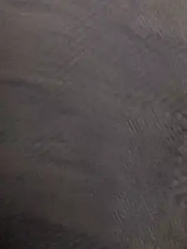 AndreaSFanSTo online show from January 15, 2026, 9:47 am