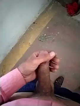 GDwrzsc2bfc online show from November 29, 2025, 9:01 am