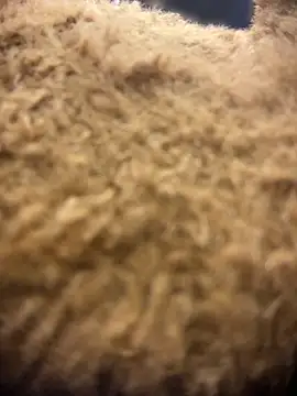 valeryfox   online show from March 18, 2026, 10:57 pm