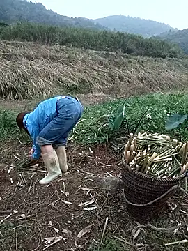 nangmo online show from March 18, 2026, 11:13 am