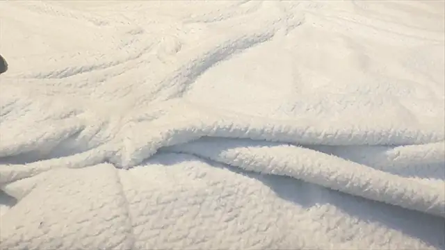 famous1tad online show from December 22, 2025, 7:38 am