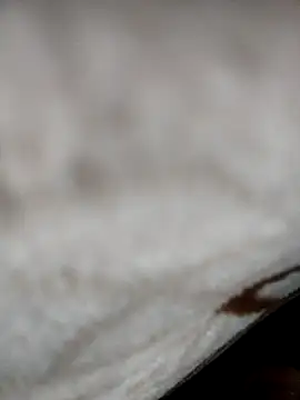 Snapshot of jiniya6789 chatting on January 5, 2026, 6:11 pm jiniya6789 online show from January 5, 2026, 6:11 pm