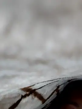 Snapshot of jiniya6789 chatting on January 9, 2026, 7:59 pm jiniya6789 online show from January 9, 2026, 7:59 pm