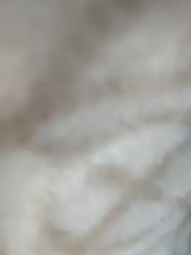 Snapshot of jiniya6789 chatting on January 11, 2026, 2:00 pm jiniya6789 online show from January 11, 2026, 2:00 pm