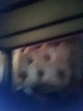 Cuteyuuboy2086 online show from January 13, 2026, 1:05 pm