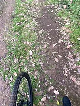 marconordic online show from February 7, 2026, 2:21 pm