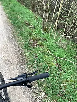 marconordic online show from March 15, 2026, 1:17 pm