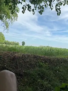 marconordic online show from April 26, 2026, 12:58 pm