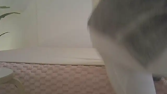 kyono-iyashi online show from March 8, 2026, 2:43 pm