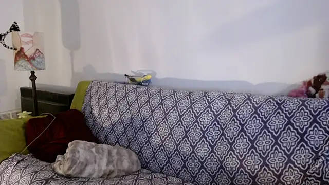 DeliaBlew online show from December 4, 2025, 3:10 pm