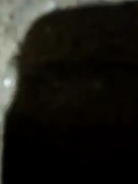 Karisma ji online show from January 10, 2026, 3:25 pm