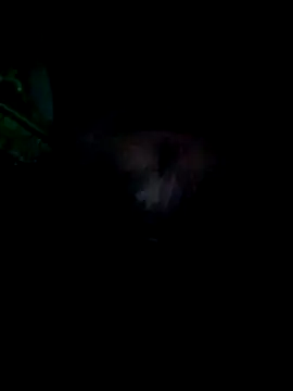 Snapshot of KF_hway chatting on March 25, 2026, 11:11 pm KF hway online show from March 25, 2026, 11:11 pm