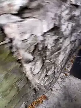 modelo hot online show from January 9, 2026, 7:37 pm