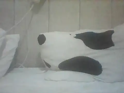 Thand03 online show from May 26, 2026, 3:57 am